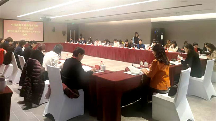 刘菲菲参加中国注册会计师行业妇联一届二次执委会