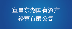 宜昌东湖国有资产经营有限公司
