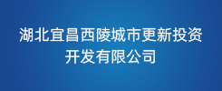 湖北宜昌西陵城市更新投资开发有限公司