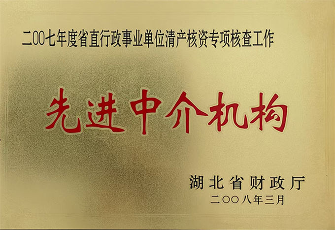 先进中介结构