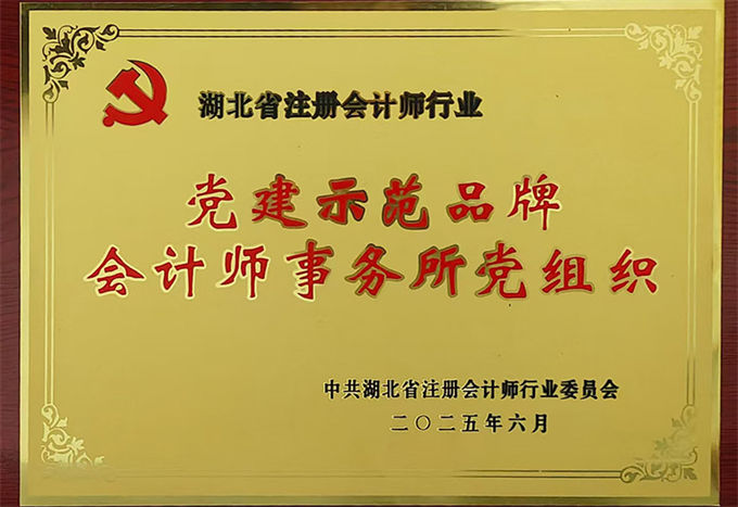 湖北省注册会计师行业党建示范品牌会计师事务所党组织